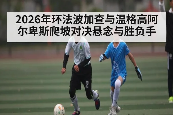 2026年环法波加查与温格高阿尔卑斯爬坡对决悬念与胜负手